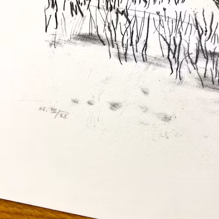 "Fågeln" Litografi av Evy Låås. 36,5x32 cm