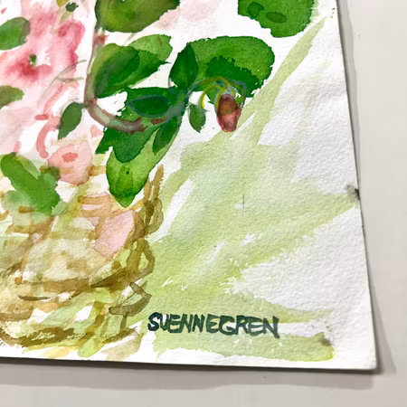 Akvarell av Solveig Svennegren. 36x48 cm
