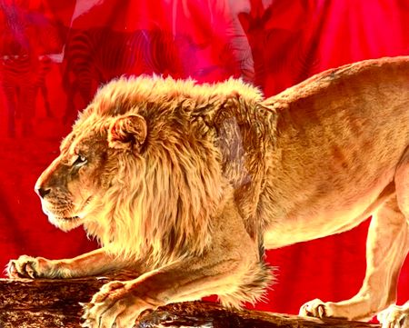 "The Wild ones II" Art Giclée av Adam Scott Rote. nr 33/195. 70x60 cm