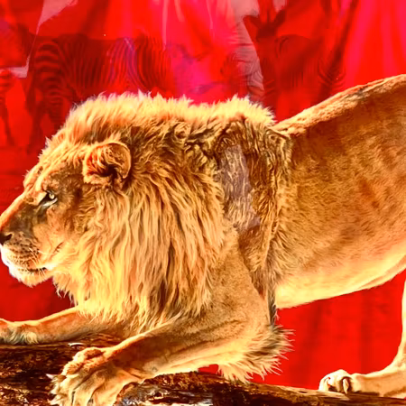 "The Wild ones II" Art Giclée av Adam Scott Rote. nr 33/195. 70x60 cm