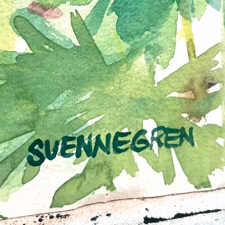 "Lupinus" Akvarell av Solveig "Lilli" Svennegren. 51,5x64 cm