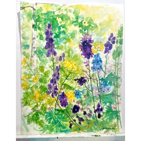 "Lupinus" Akvarell av Solveig "Lilli" Svennegren. 51,5x64 cm