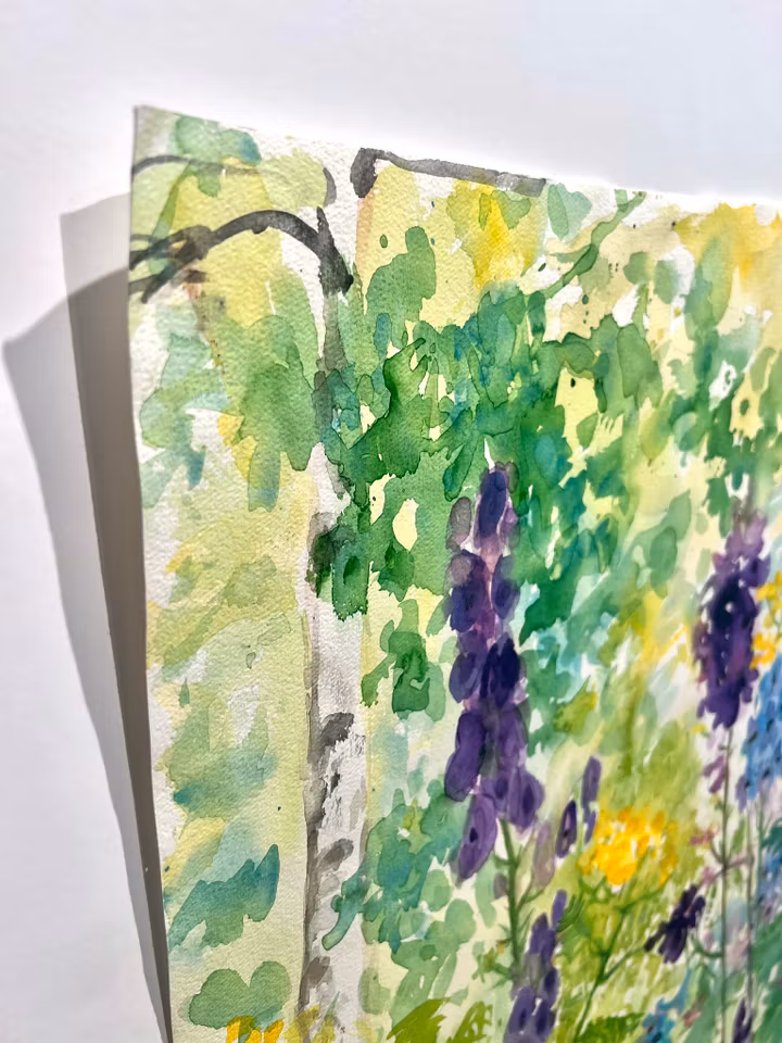 "Lupinus" Akvarell av Solveig "Lilli" Svennegren. 51,5x64 cm