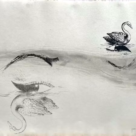 "Los cisnes" Litografi av Perejaume. nr 68/100. 57x38 cm