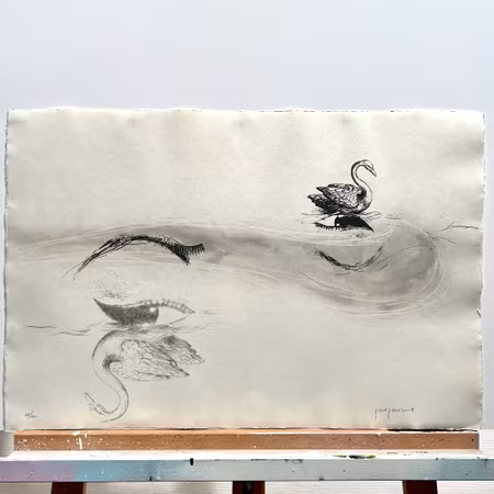 "Los cisnes" Litografi av Perejaume. nr 68/100. 57x38 cm
