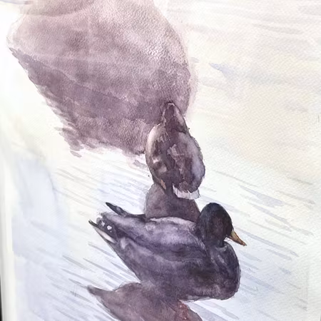 "Ducks", Original akvarell på papper av John Ma, 44x54 cm