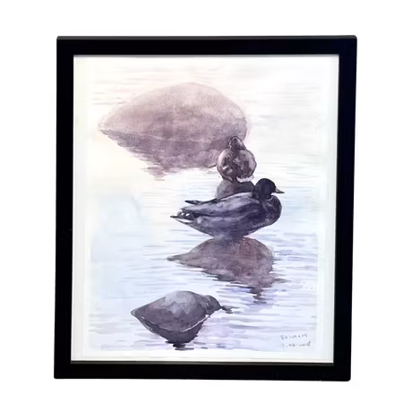 Ducks, Original akvarell på papper av John Ma, 44x54 cm