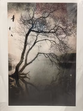 “Evanescence”, fotografi av Åse Johannessen, upplaga 40, 53 × 73 cm