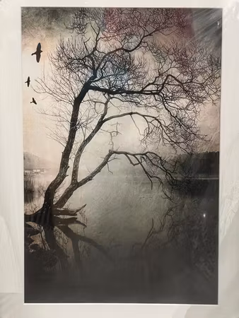 “Evanescence”, fotografi av Åse Johannessen, upplaga 40, 53 × 73 cm