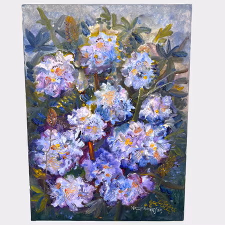 Jerry Andersson · Blå Rhodedendron