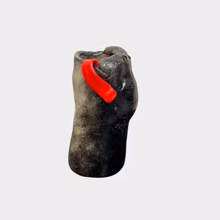 Helena Sandgathe · Goofy Seal IV