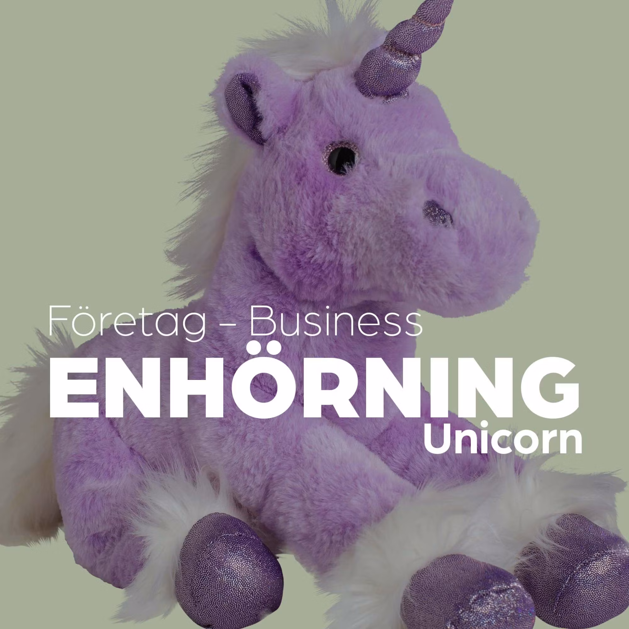 Enhörningar - Företag - Molli Toys