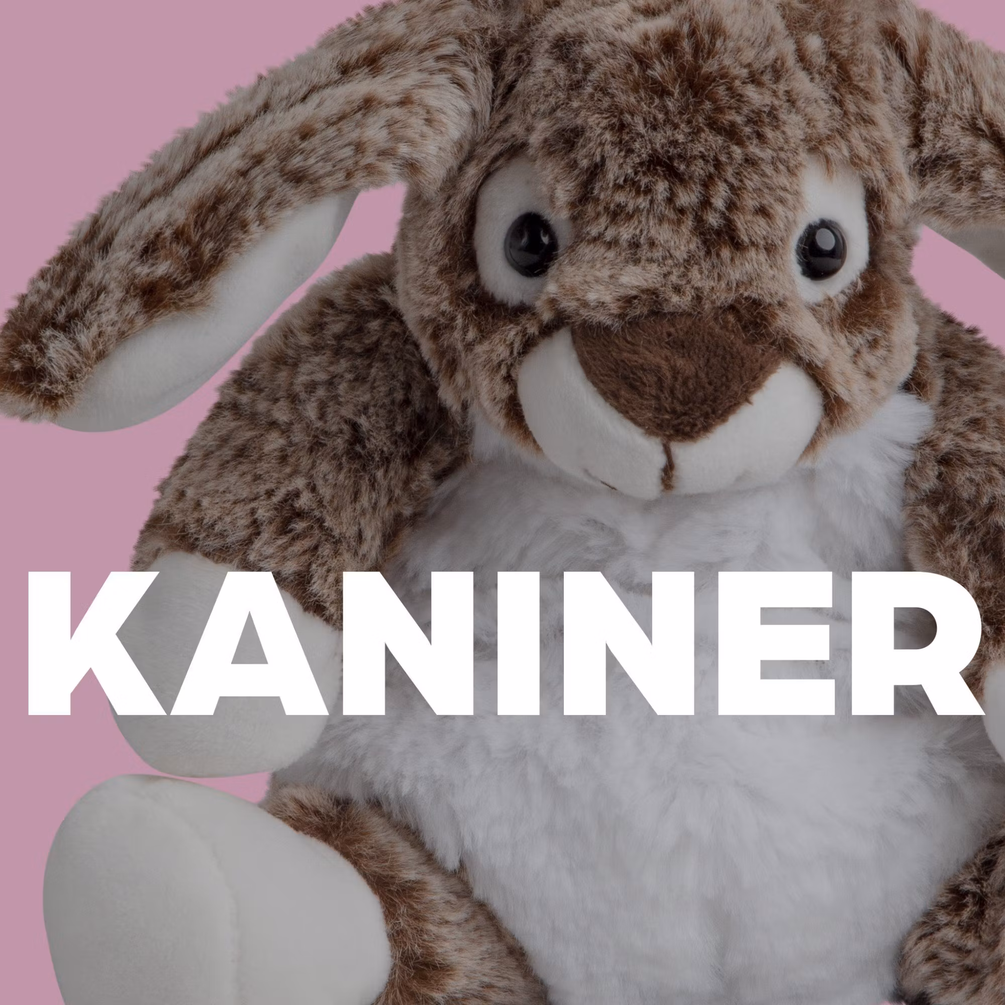 Kaniner - Molli Toys