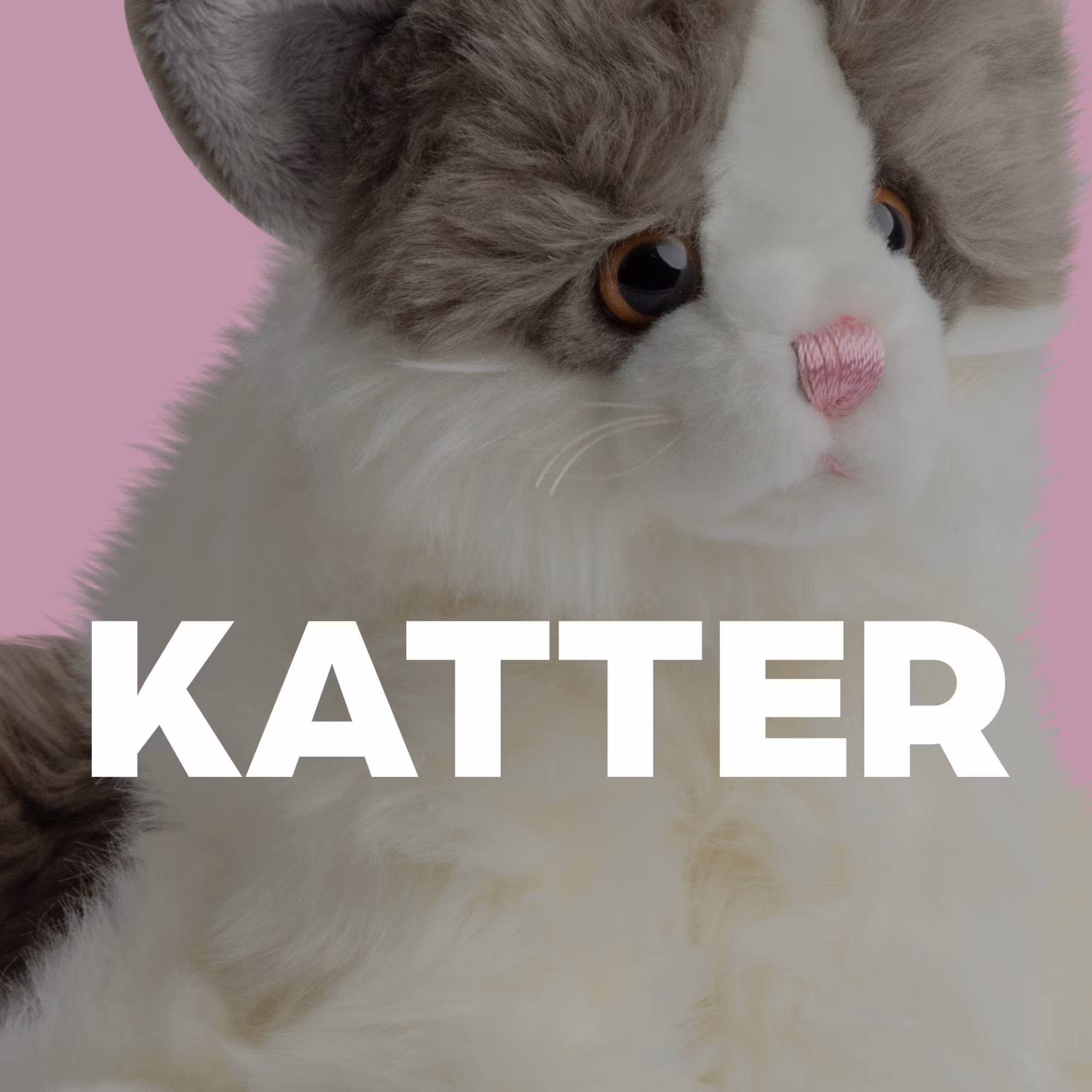 Katter - Molli Toys