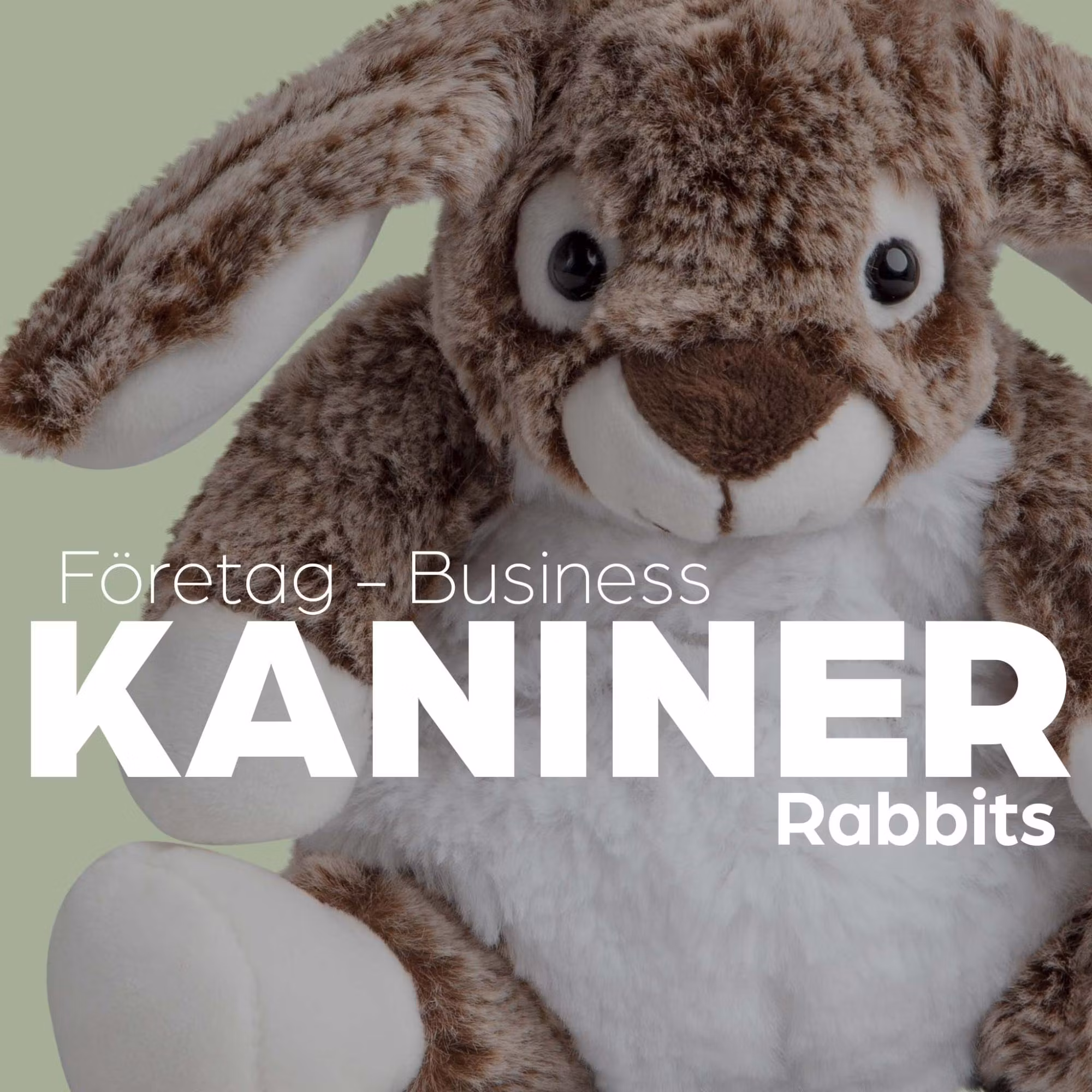 Kaniner - Företag - Molli Toys