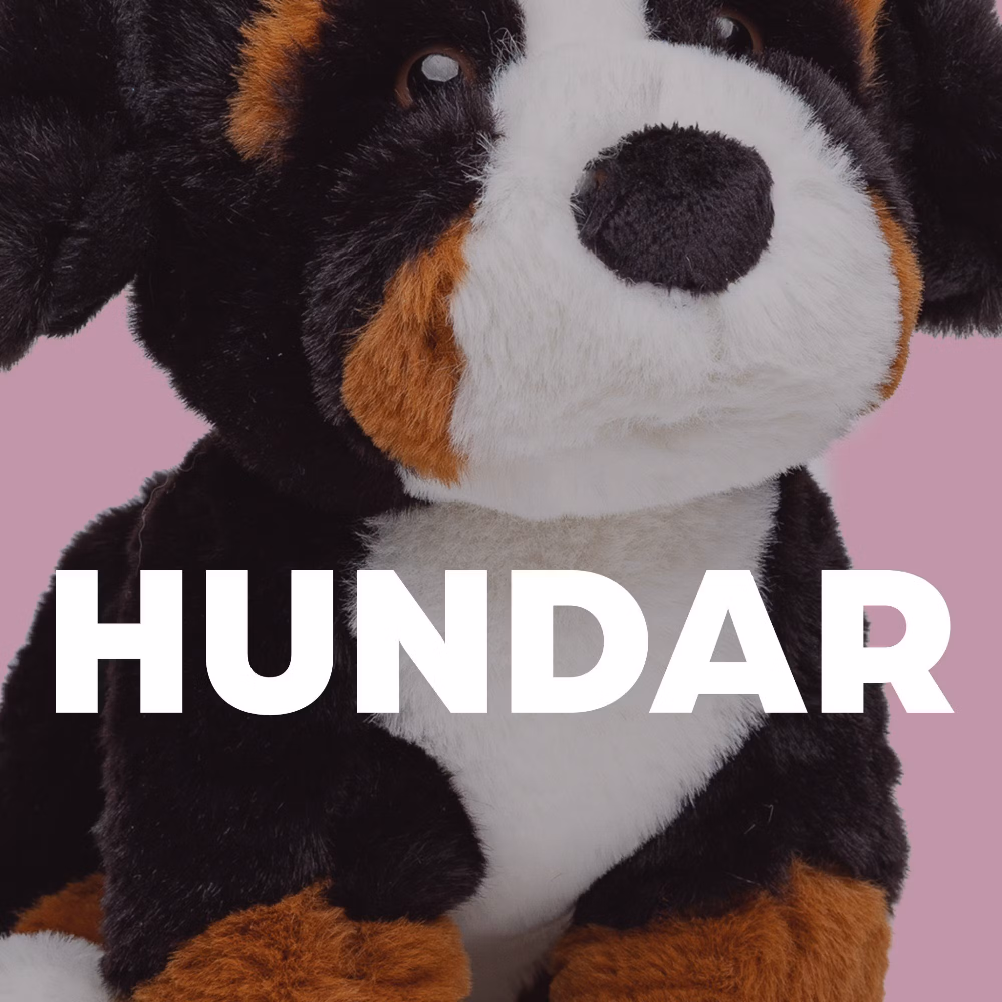 Hundar - Molli Toys