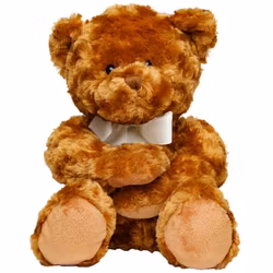 Björnen "Franklin"
