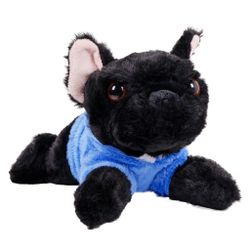Hund Fransk Bulldog i Hoodie