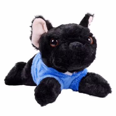 Hund Fransk Bulldog i Hoodie