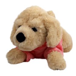 Hund Golden retriver i Hoodie