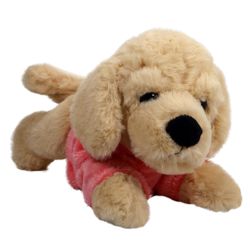 Hund Golden retriver i Hoodie