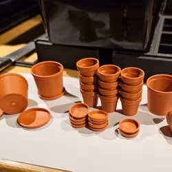 Kruka Terracotta med fat storlek Stor