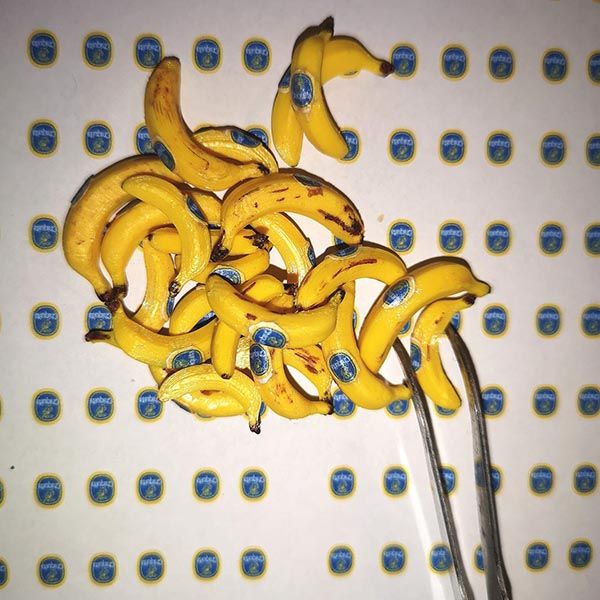 Bananer 4 st