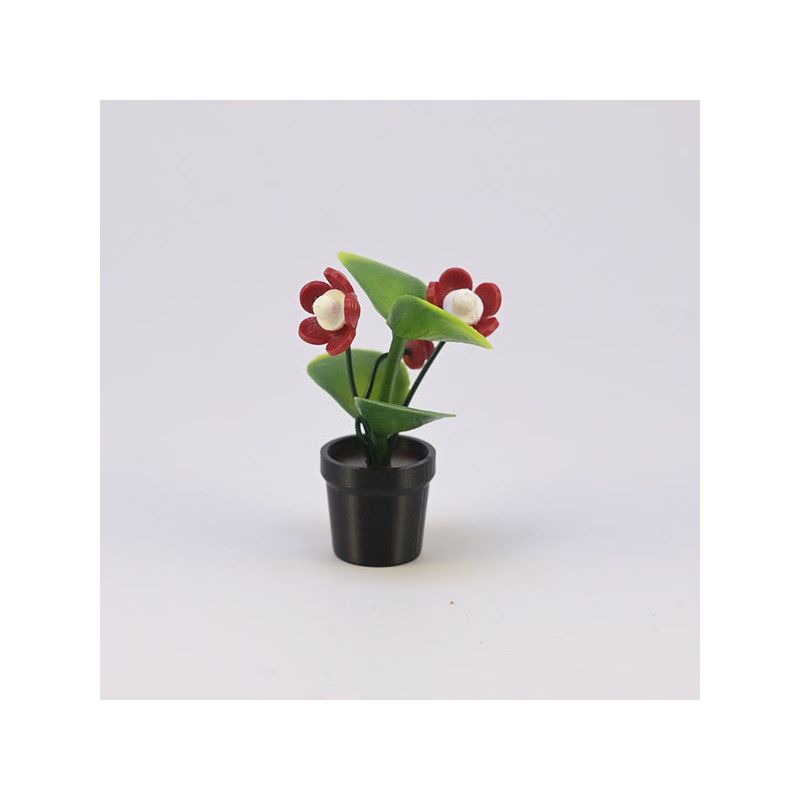 Blomma med knopp i kruka