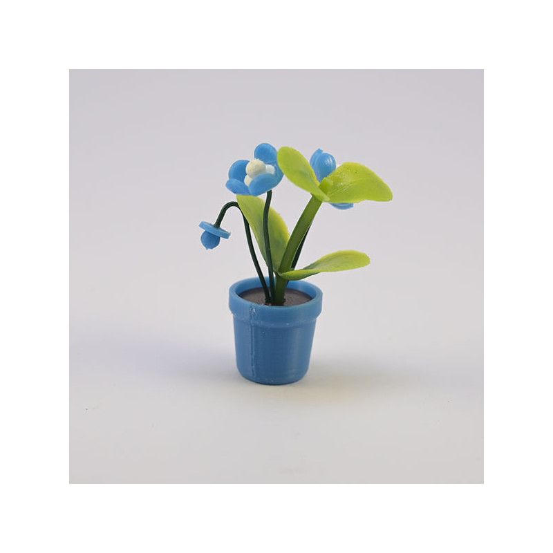 Blomma med knopp i kruka