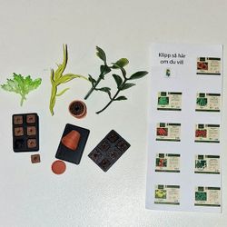 Vårsådd mix 1:18