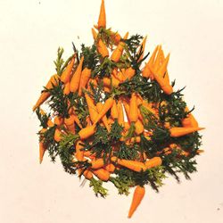 Några morötter