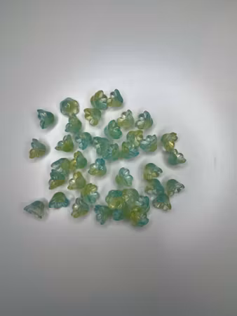 Gasblommor/Liljekonvaljer turkos/gul (17st)