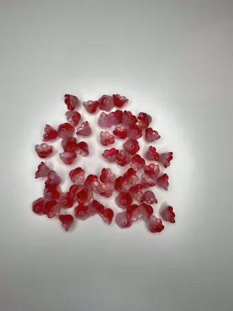 Gasblommor/Liljekonvaljer röd/vit (17st)