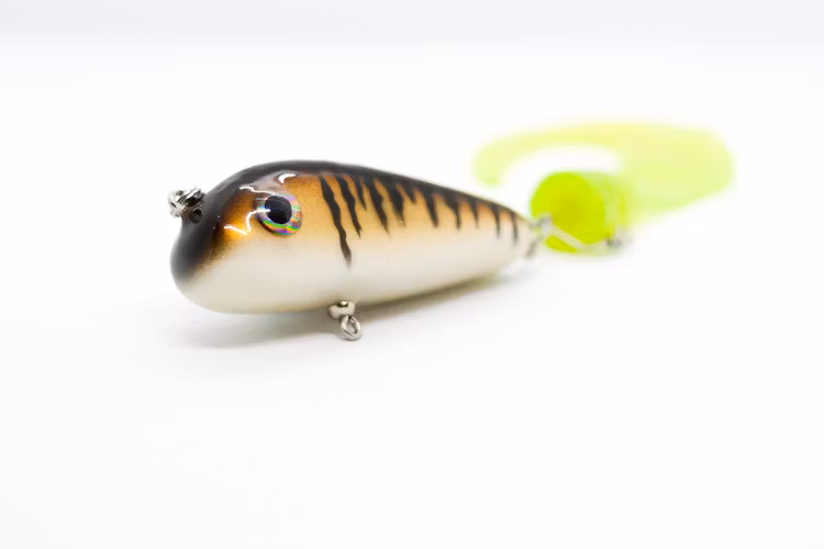 Striped zander