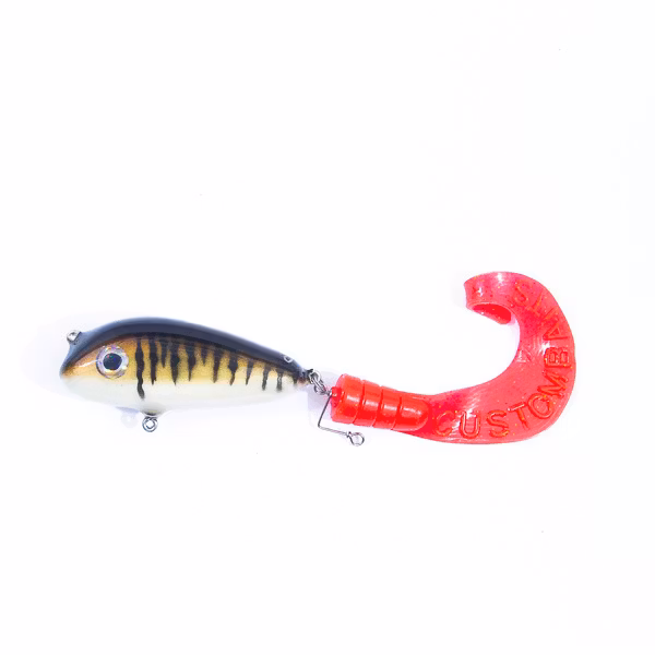 Striped zander