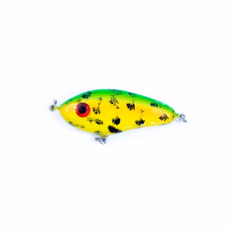 Spotted parrot