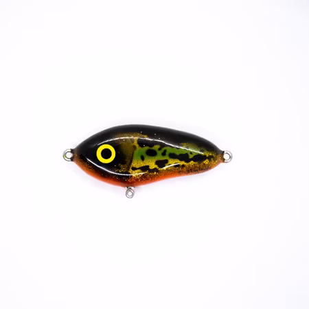 Shining burbot
