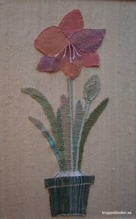 Amaryllis  11x26 cm