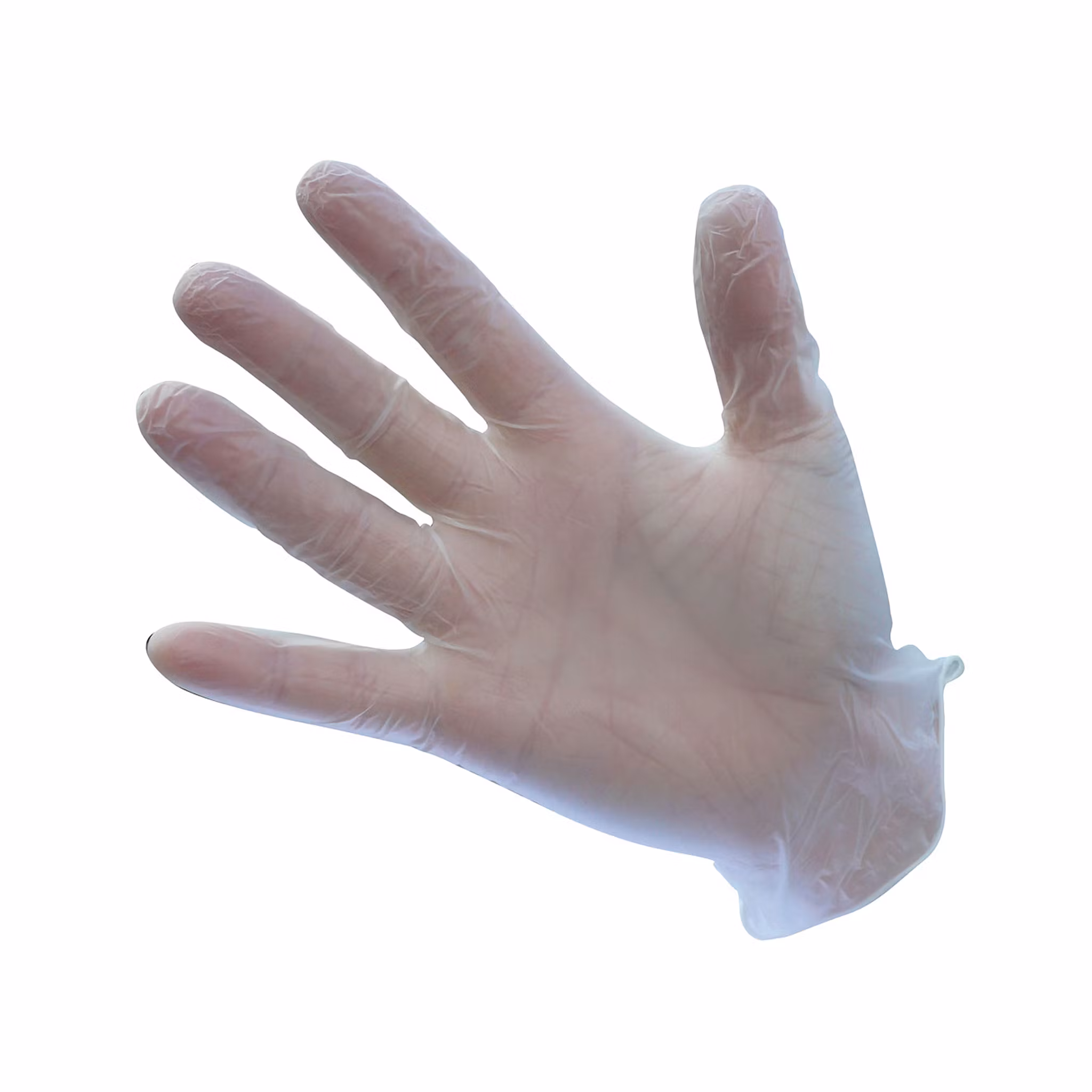 Engångshandskar i vinyl – 100-pack | Portwest