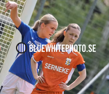 HALMSTAD BK-IFK GÖTEBORG DH250168