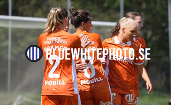 HALMSTAD BK-IFK GÖTEBORG DH251447