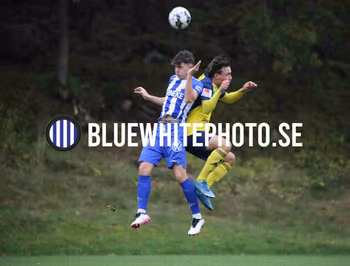 P19 IFK GÖTEBORG-ÄNGELHOLM FF ANG21599