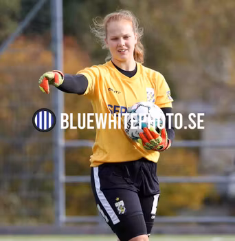 F17 IFK GÖTEBORG-LINKÖPING FC LKG20027