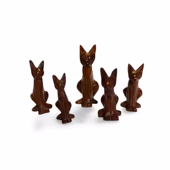 KattFamilj