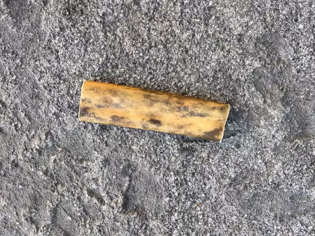 Tuggben nötrulle 14-16 cm (smakprov)