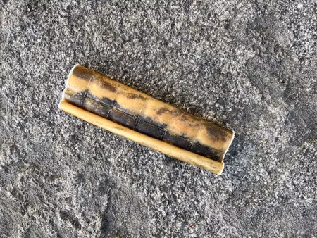 Tuggben nötrulle 14-16 cm (prenumeration 4 tuggben per månad)
