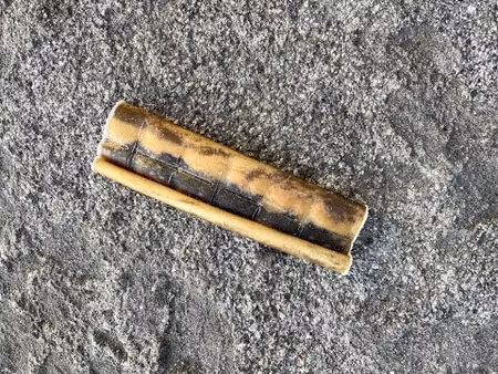 Tuggben nötrulle 14-16 cm (prenumeration 4 tuggben per månad)