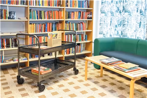 Rullvagn 2 plan med sarg, 250 kg, antracitgrå, KM8200