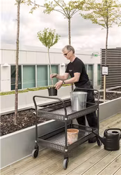 Bordsvagn 2 plan med sarg, 250 kg, Elförzinkad, broms, KM4893-GBB