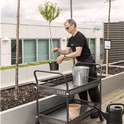 Bordsvagn 2 plan med sarg, 250 kg, Elförzinkad, broms, KM4893-GBB